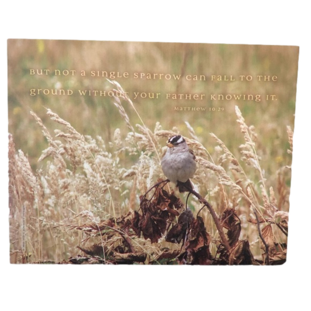 Canvas Matthew 10:29 Picture